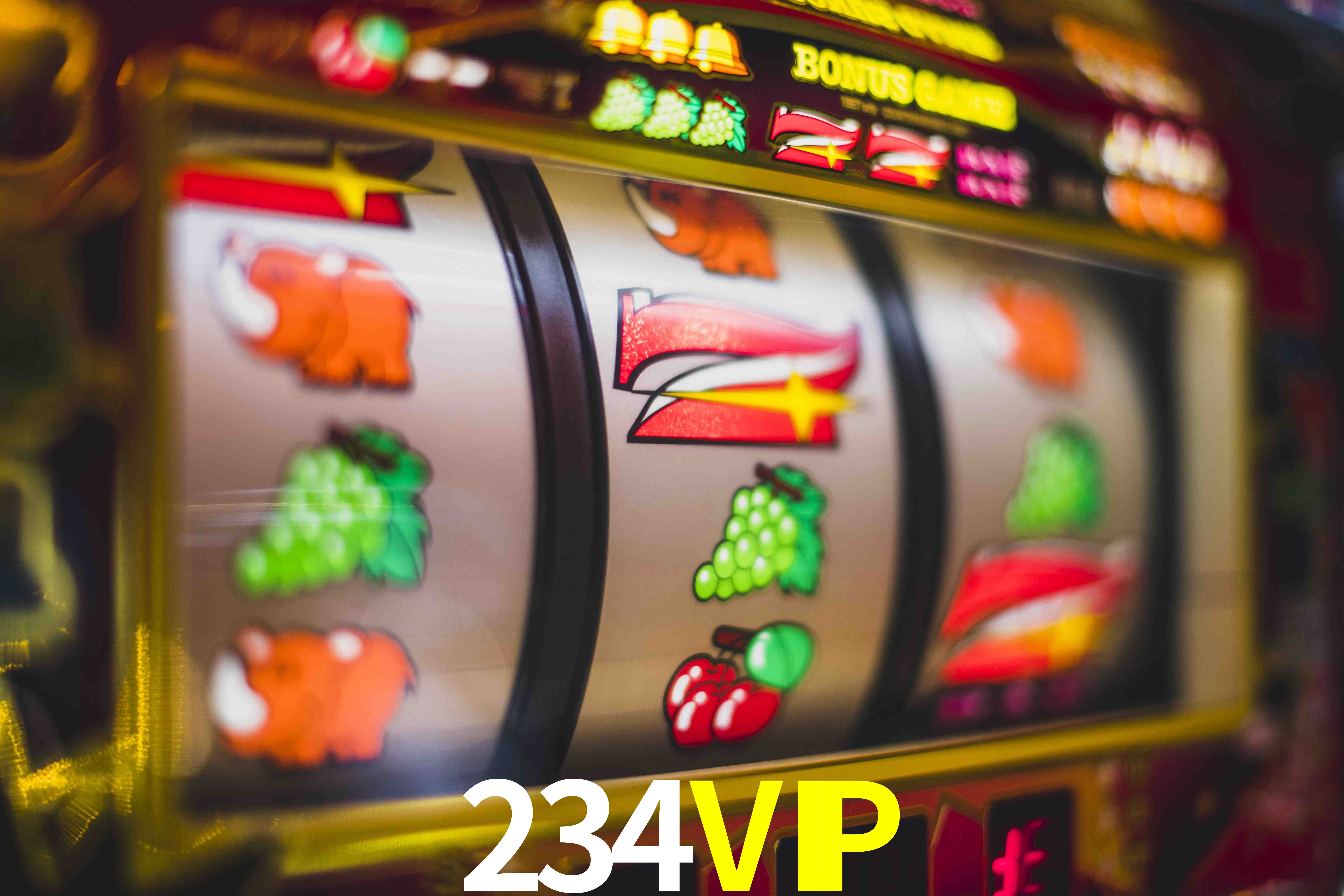 Evolução VIP 234VIP