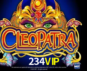 234VIP cadastro — tela de formulário no app oficial